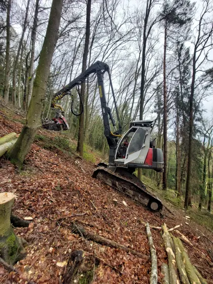 Neuson 11.002 HVT und Empl Tiefbetttieflader