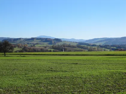 1 ha Ackerfläche ab 2027 in 3325 zu verpachten
