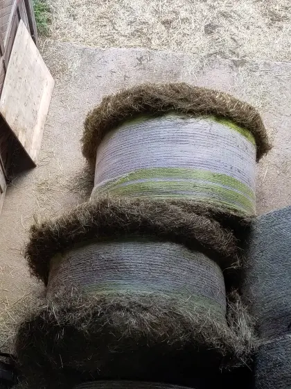 Heu-Rundballen