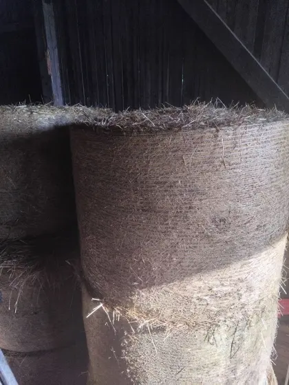 Strohballen zu verkaufen