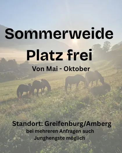 Sommerweideplatz