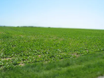 25 ha Ackerland, Wald und Grünland