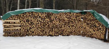 Brennholz Fichte
