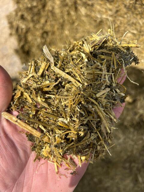 Luzerne-Silage-Ballen, gehäckselt