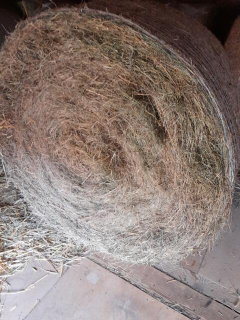 Heuballen 2. Schnitt