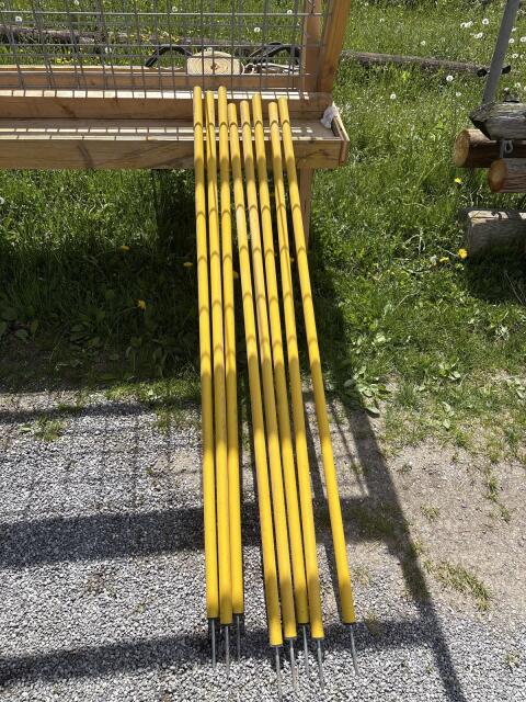 8 Slalomstangen
