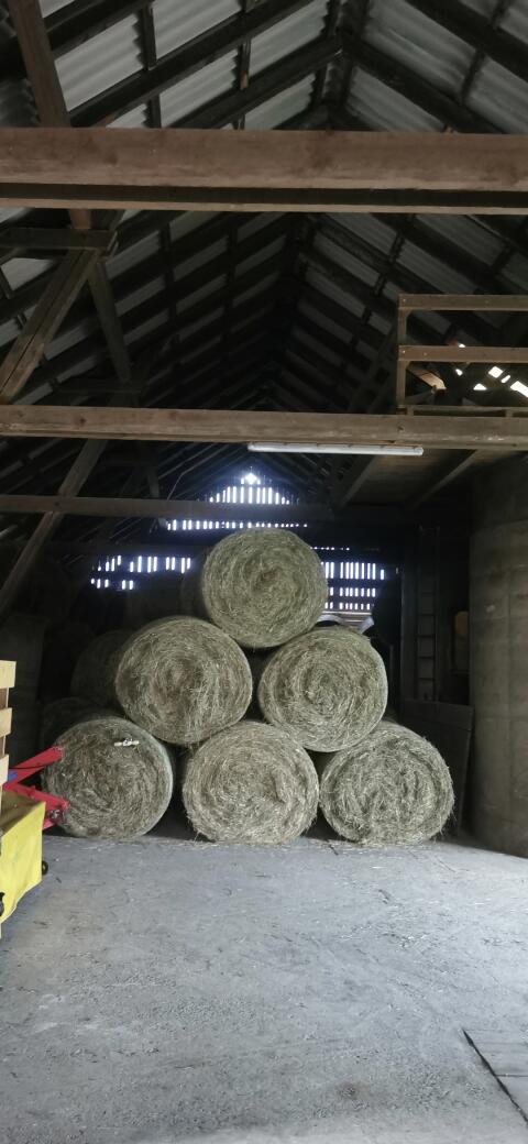 Heuballen
