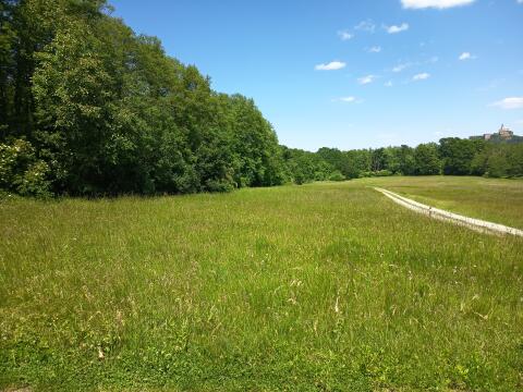 Wiesen und Wald in Rosenberg bei Güssing, gute Zufahrt