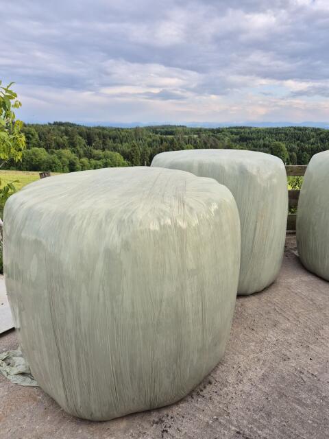 Siloballen, Silageballen, Grassilage, Kleegras, Wiese