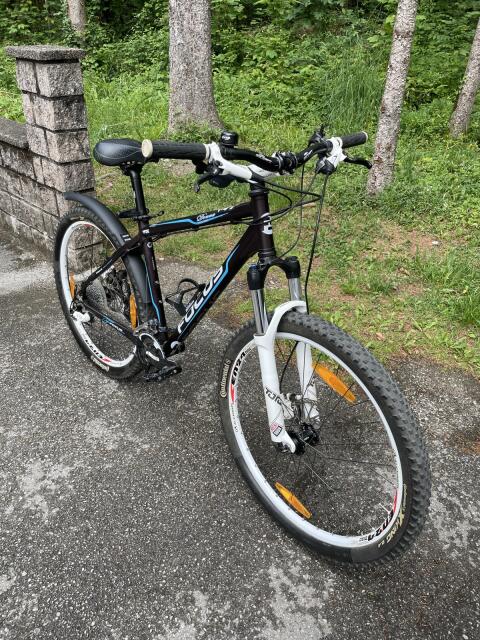 Fahrrad Mountainbike, Focus
