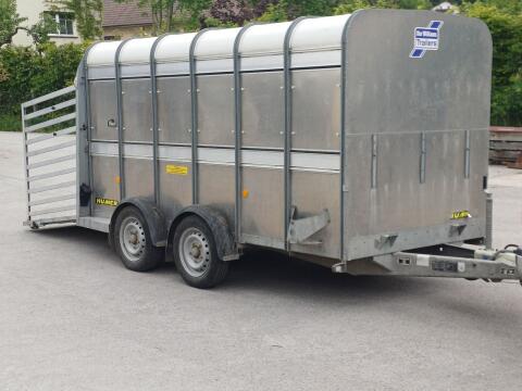Ifor Williams Viehanhänger