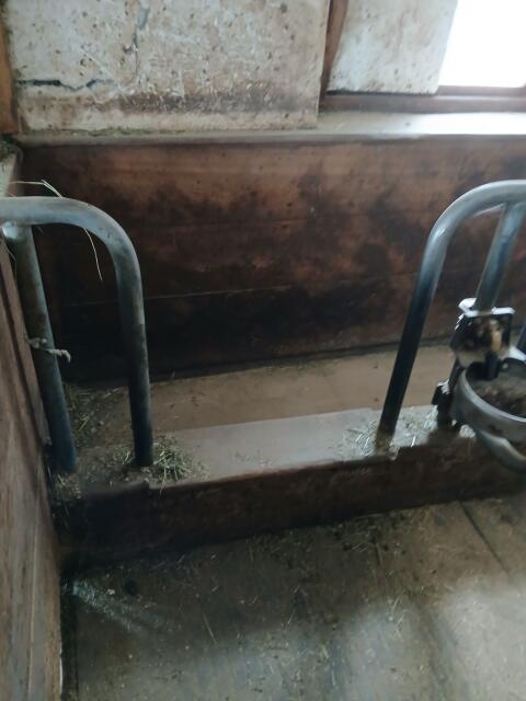 Aufstallung Felder