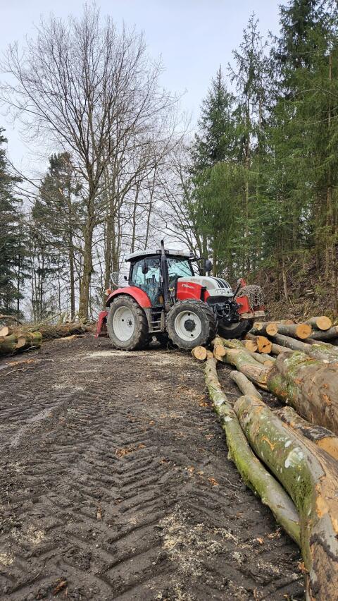 Holzschlägerung, Rückung, Durchforstung