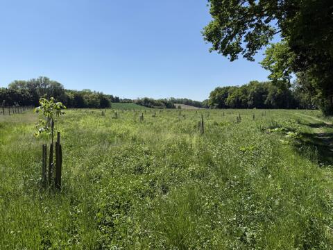 4,5 Hektar Grünfutter ab Feld