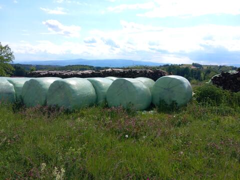 Siloballen