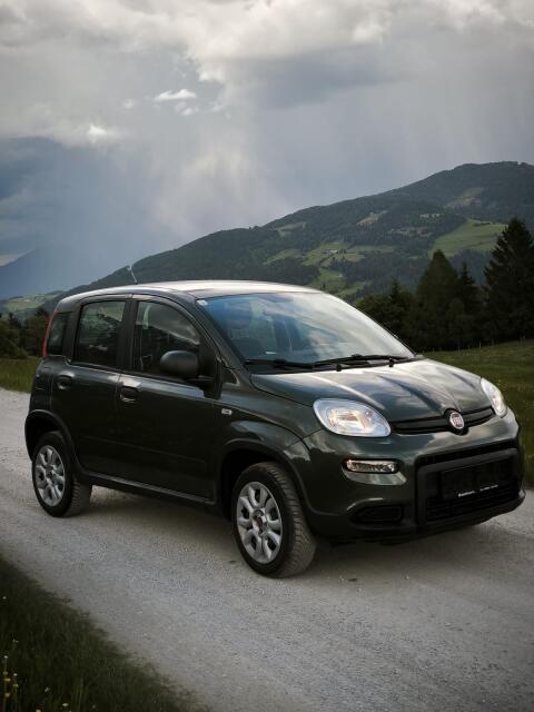 Fiat Panda 4x4