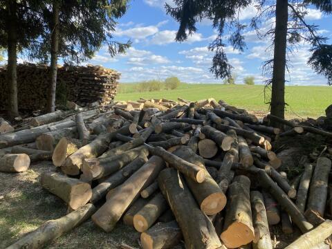 Buchenbrennholz