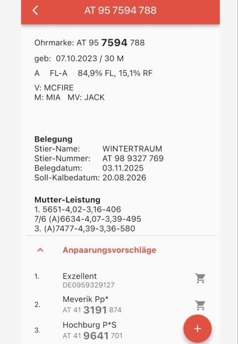 Kalbinnen