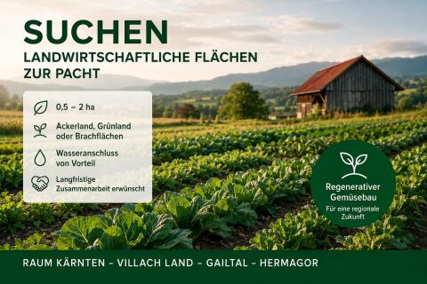 Langfristige Pachtfläche für Gemüsebau gesucht