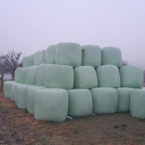 Luzerne-Silage-Ballen