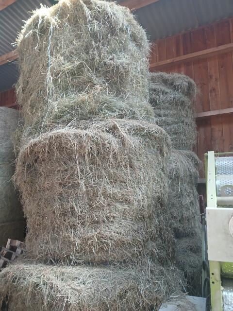 Heuballen 2. Schnitt