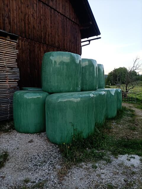 Bio Silageballen