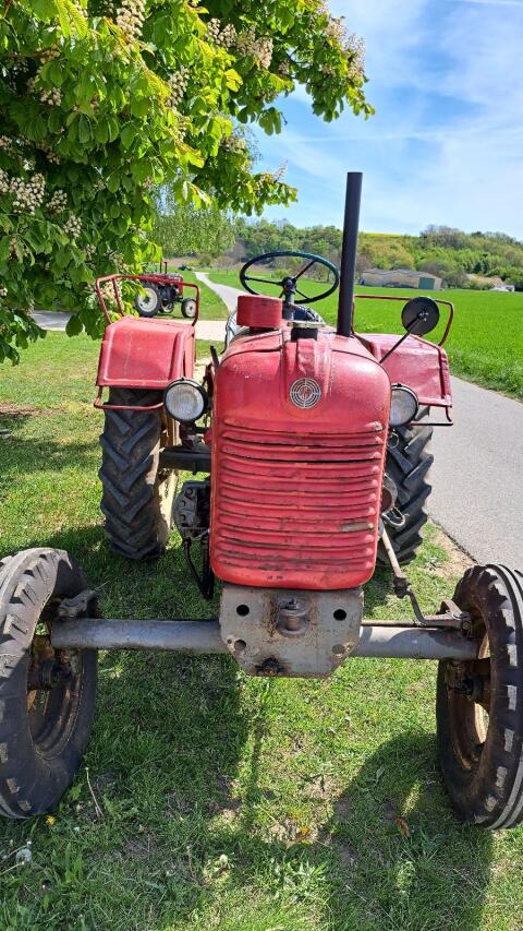 Steyr Traktor T84, Bj. 1957