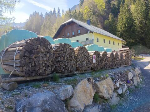 Brennholz Buche