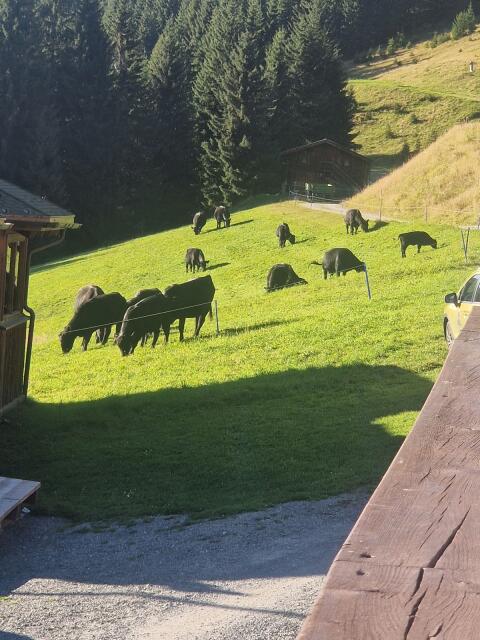 Landwirtschaft 45 ha und Gastronomie