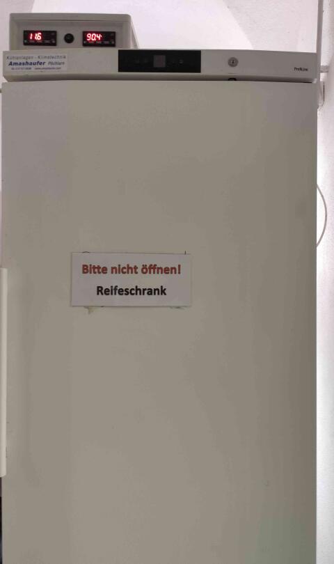 Reifeschrank für Käse AMA R663W