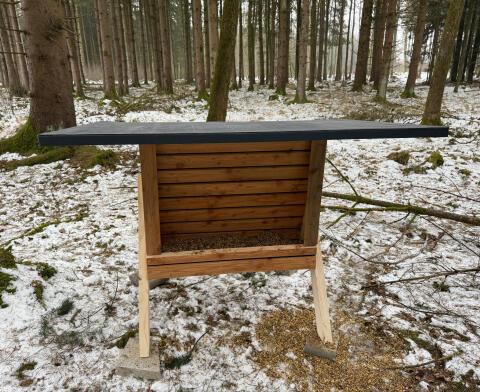 Futterautomat Medium, robuste, wettergeschützte Fütterung
