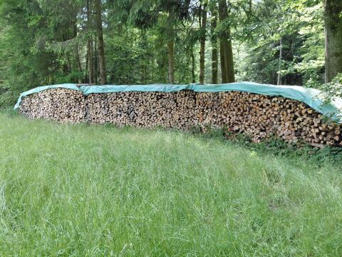 Brennholz
