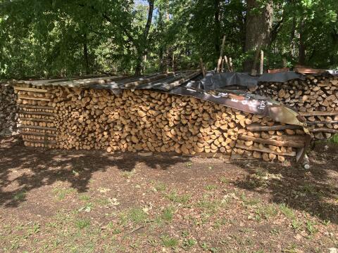 Brennholz
