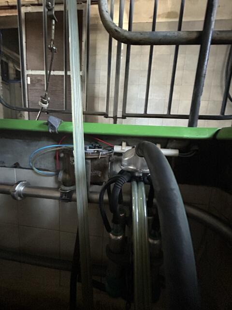 Melkstand Autotandem Westfalia