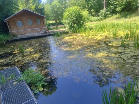 Vermiete Teich mit Hütte