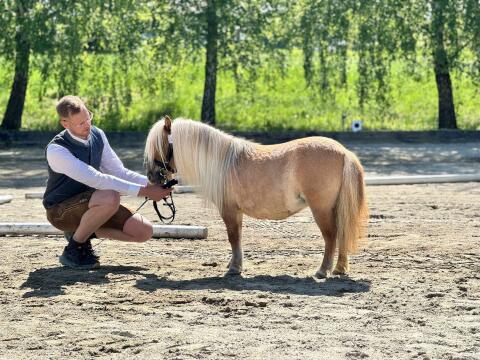 Griethje v. d. Japikweg, Mini-Shetlandpony-Stute