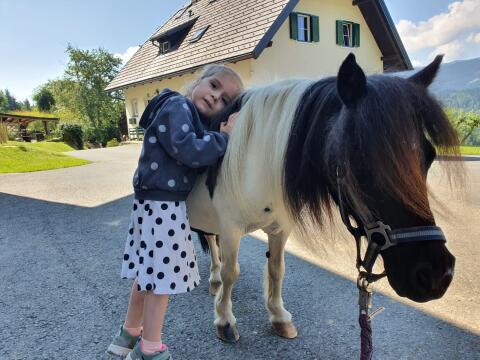 Prachtvolle Minishetty-Zuchtstute mit Hengstfohlen bei Fuß