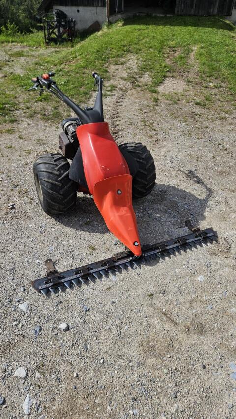 Reform 636L mit Sichelmulcher