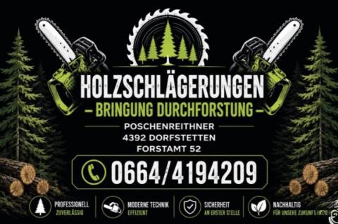 Holzschlägerung