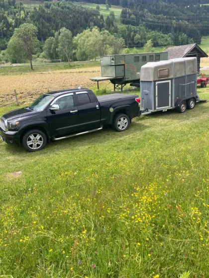 Böckmann Porta Duo Pferdeanhänger