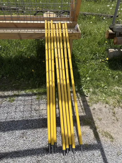 8 Slalomstangen
