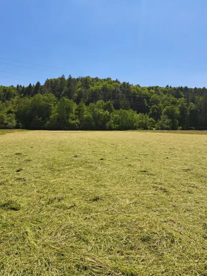 Heuwürfel
