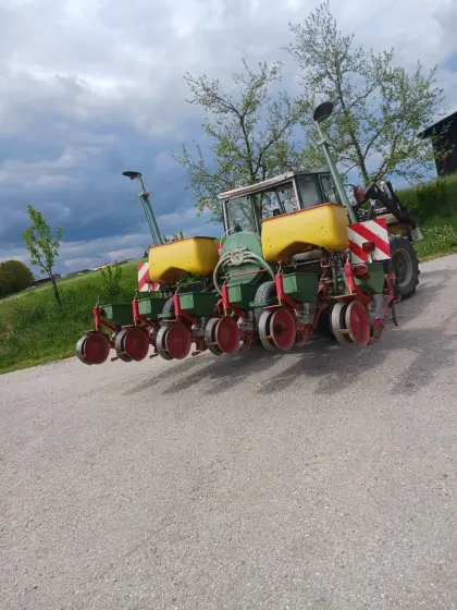 Einzelkorn
