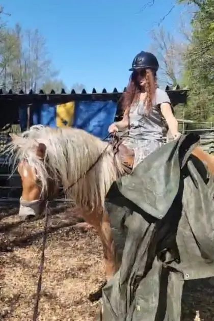 Haflinger mit Traumcharakter