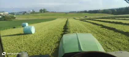 Heuballen ab Feld