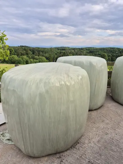Siloballen, Silageballen, Grassilage, Kleegras, Wiese