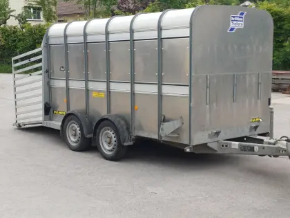 Ifor Williams Viehanhänger