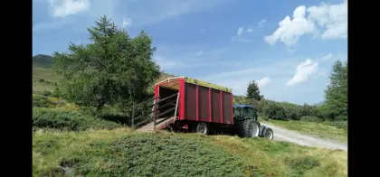Schöner Viehanhänger