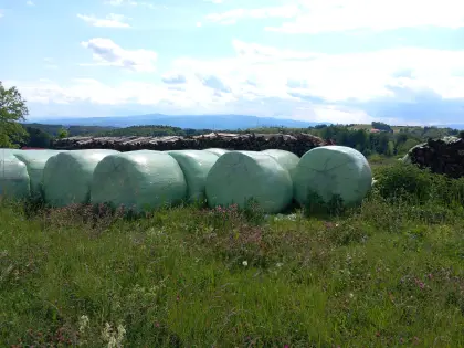 Siloballen