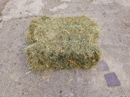 Heu Kleinballen Grummet 2025